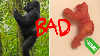 '$100,000' Harambe Cheeto Is Everything Stupid About the Internet<em></em>